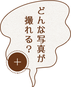 どんな写真が撮れる?